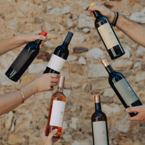 Vins Découverte — 6 vins